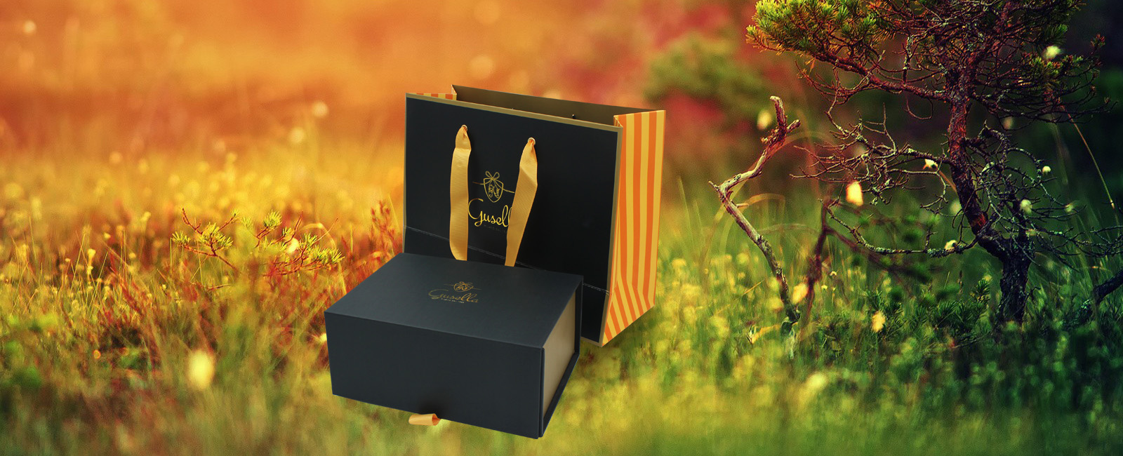 星空体育官方下载